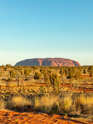 Image of Uluru in the distance with blue sky above.