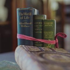 Three old books tied with a pink ribbon.