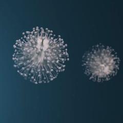 3D render of COVID-19 virus against a navy background.