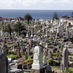 Image of a crowded cemetery overlooking the coastline.