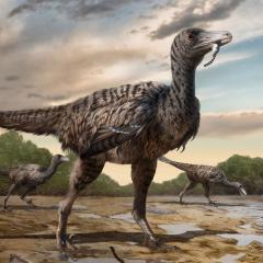 An illustrated reconstruction of a large raptor dinosaur.