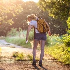 A woman in hiking attire sprays insect repellant on her legs. She is walking down a sun-lit path. Hundreds of tiny mosquitos surround her, visible only by the reflection of the sunlight on their wings.