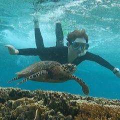 An image of Turtle Tribe founder Ned Heaton snorkling with sea turtle.