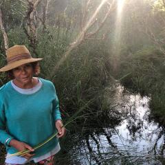 Sonja Carmichael gathers ungaire in a freshwater swamp on Minjerribah.
