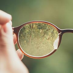 Person holding brown glasses with green forest in reflection of glasses. 