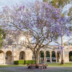 Blooming Jacaranda tree in front of sandstone building at UQ St Lucia.