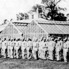 US soldiers and medical staff outside the US Army General Hospital in Gatton.