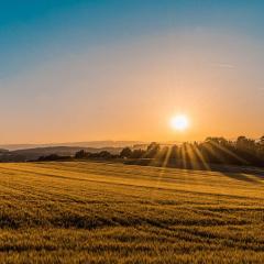 An open farming field at sunset. The sun sits barely above the treeline, shining rays out across the grassy field. You can see low mountains in the distance along the horizon.