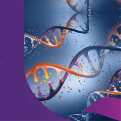 Image of DNA strands