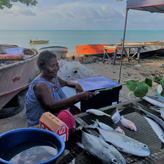 Image of a woman cooking fish on a fire at the beach