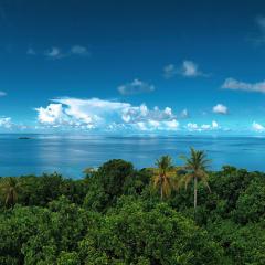 Beautiful, clear blue waters spread out across the horizon. The foreground of the image is full of thick, lush forest and palm trees. The sky is clear with some fluffy white clouds.