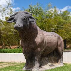 An image of the Taurudicus sculpture at UQ Gatton.