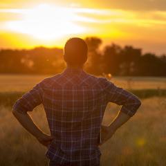 Rear view of farmer in field at sunset